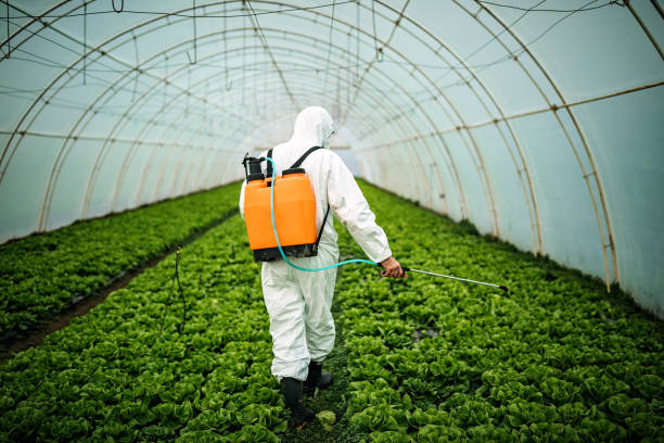 Best Affordable Pest Control Services  in Washburn, ND