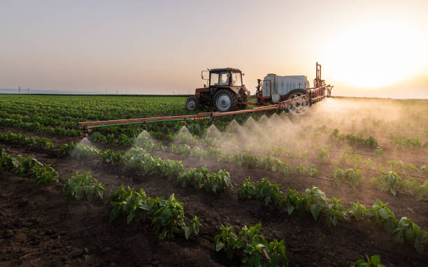 Reliable Washburn, ND Pest Control Solutions