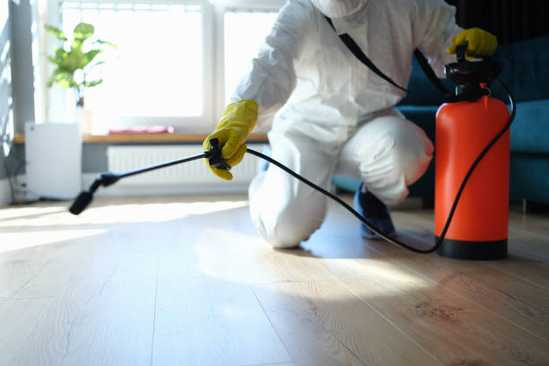 Best Pest Control for Homes  in Washburn, ND